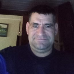 , 44, 
