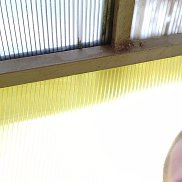 , 26 , 