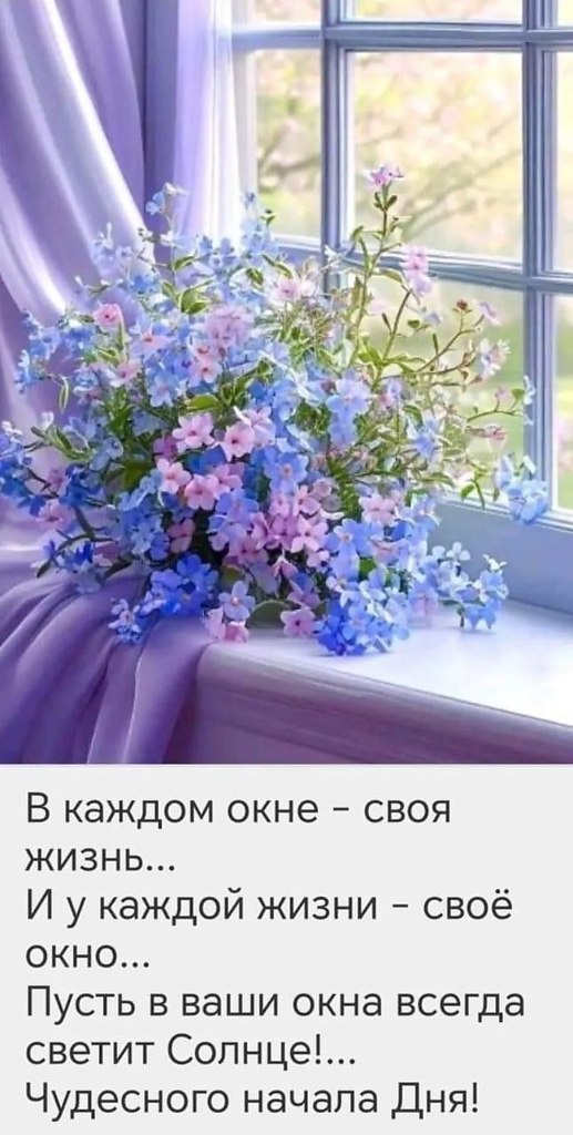 �������� ������ - 10 ��� 2026 � 08:24