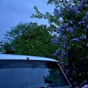 ���� ���������, ������, 33 ���� - ��������� 20 ������ 2024 � ������ ���� ����������