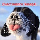 ���� ����, �������� - ��������� 1 ������ 2026 � ������ ���� ����������