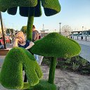 ���� ������, ���������, 61 ��� - ��������� 15 ������� 2024 � ������ ���� ����������