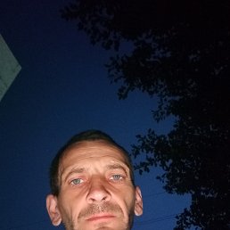 , 33, 