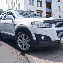 ���� ������, �����������, 41 ��� - ��������� 14 ���� 2026 � ������ ������ ��������
