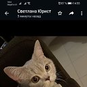  , , 55  -  23  2024    