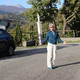, 66, 