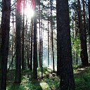 ���� ������, ������, 46 ��� - ��������� 19 ������ 2024 � ������ ���� ����������