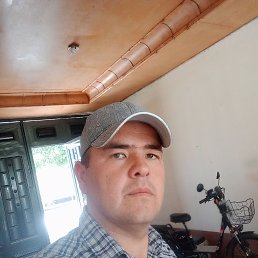 , 30, 
