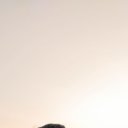 ���� ���������, �����, 44 ���� - ��������� 5 ������� 2025 � ������ ���� ����������