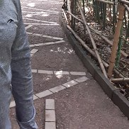 , 44 , 
