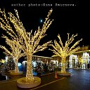  Gina Smirnova, -, 46  -  6  2025    