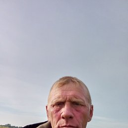 , 43 , 