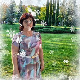 ���� ���������, ����, 62 ���� - ��������� 6 ������� 2026