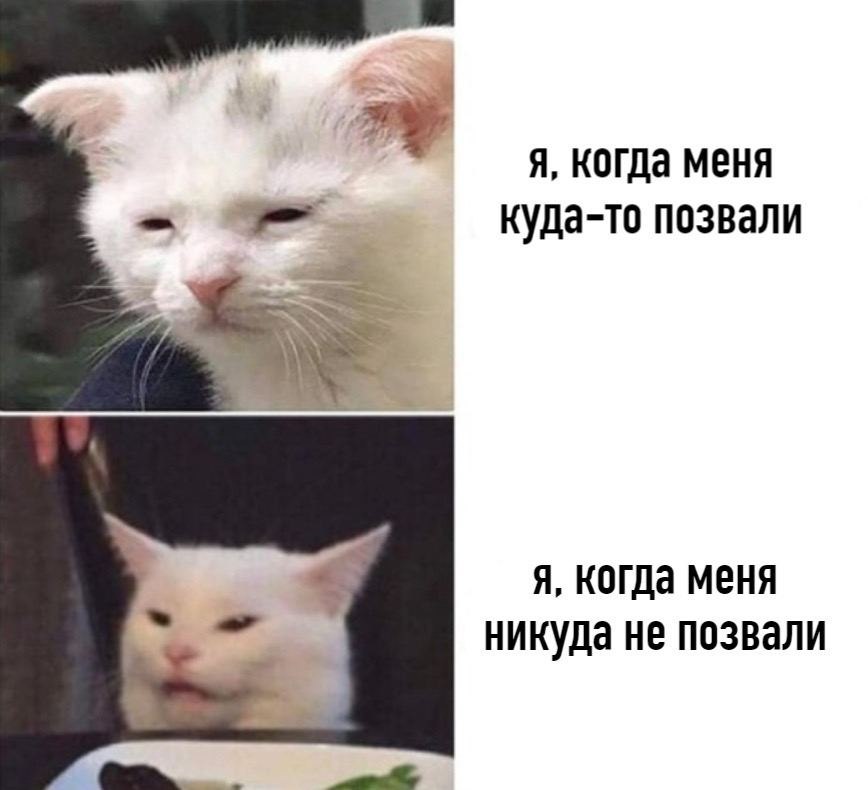    - 13  2024  23:13