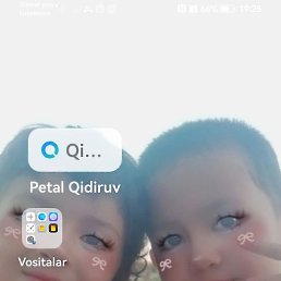 Nilufar, �������, 18 ���