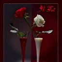 ���� Arman, ������, 60 ��� - ��������� 25 ������� 2026 � ������ ������ ��������