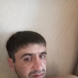 , 37,  