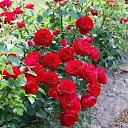 ���� �����, ������, 57 ��� - ��������� 24 ������ 2026 � ������ ���� ����������