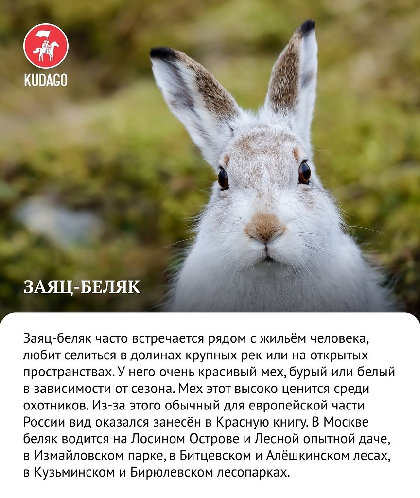    ,      - 5