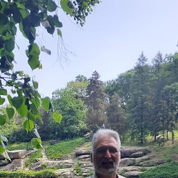 , 54, 