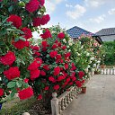 ���� �����, ����, 50 ��� - ��������� 17 ������� 2025