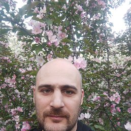 �������, 39 ���, ������