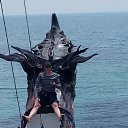 ���� Slava, ������, 51 ��� - ��������� 16 ������ 2024 � ������ ���� ����������