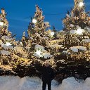 ���� ����, �������� - ��������� 21 ������� 2024 � ������ ���� ����������