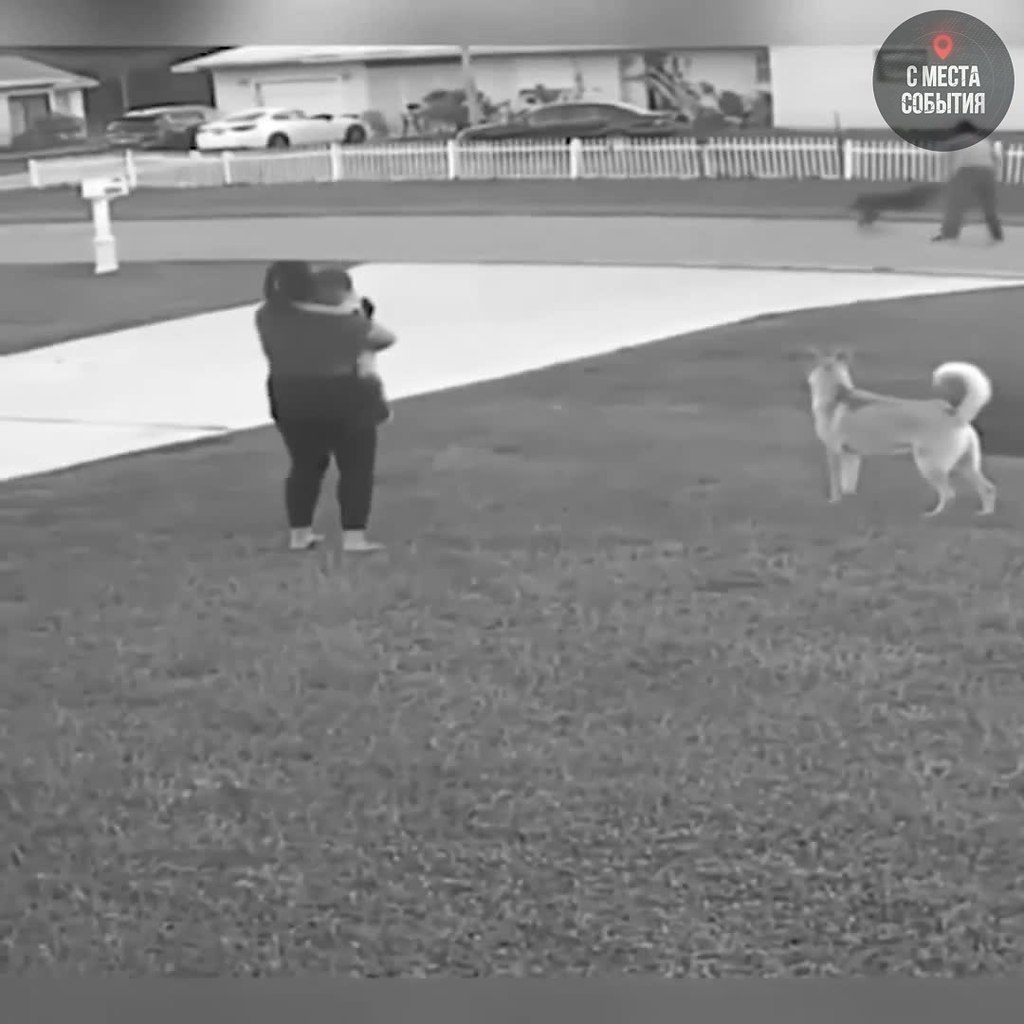 �������� �� � ������� ��� ���������� ���������, �� �� �������� � ����� ������ ����� ����.� ����� ...