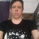 ���� ������, �����, 41 ��� - ��������� 29 ����� 2026