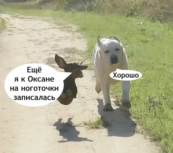  ..  ! - 3