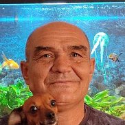 ������, 54 ����, ���������