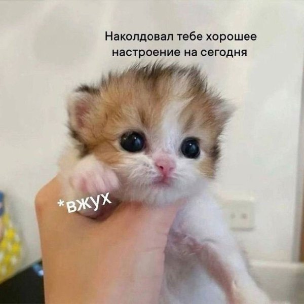 ������� � ���� ����� �������� ����