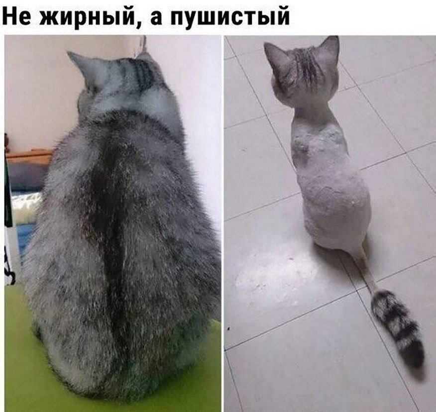 ? ,  ! - 8  2025  06:41