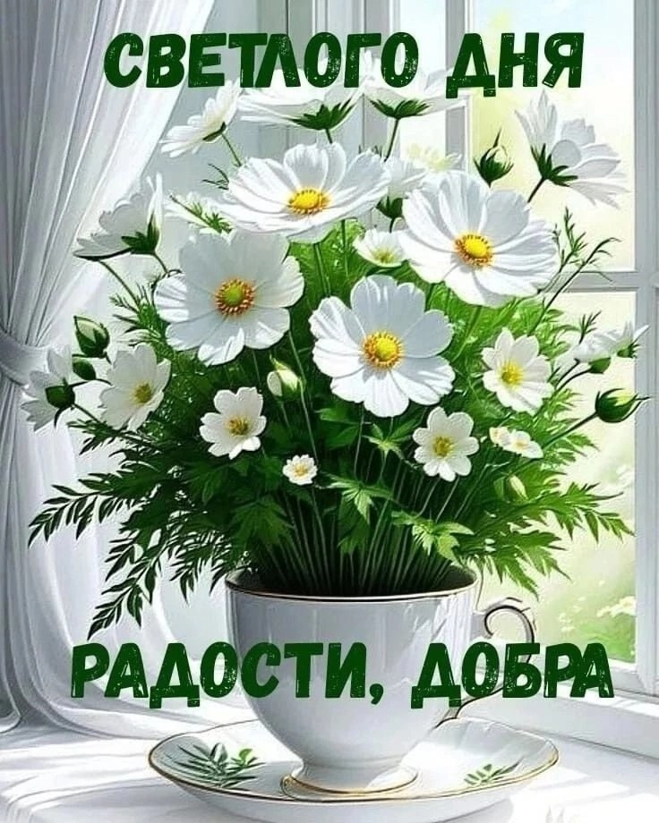  ,    . - 17  2025  16:04