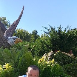 , 37 ,  