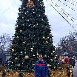 ����, 68 ���, ������