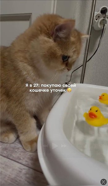 �� ��� ������ ���� ����!