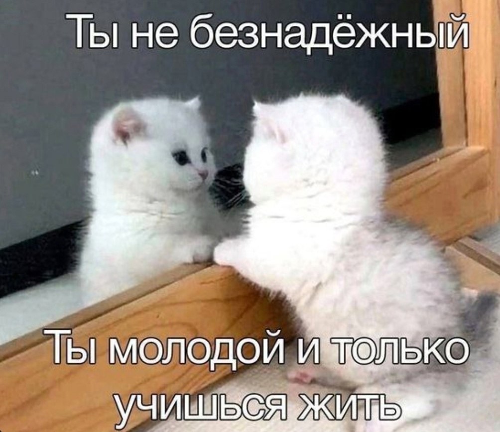 :    30 :