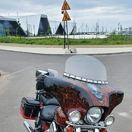 ����, �����-���������, 48 ���