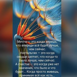 ���� �����, ����������� - ��������� 11 ���� 2026