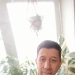 , 37, 