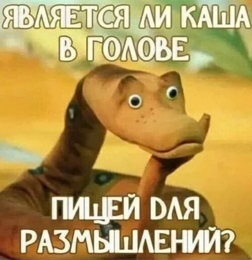   ! - 10  2025  08:44