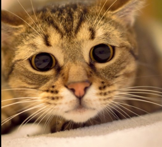   !    !   !  !!! ... - 2