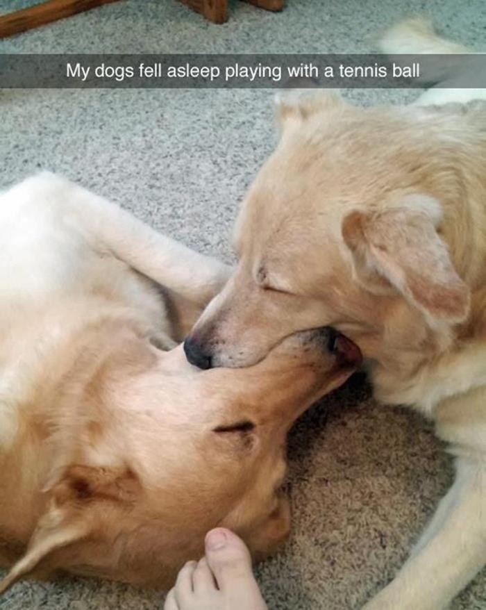  ,        (     )