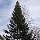 ���� ����, �����-���������, 67 ��� - ��������� 27 ������ 2026 � ������ ���� ����������