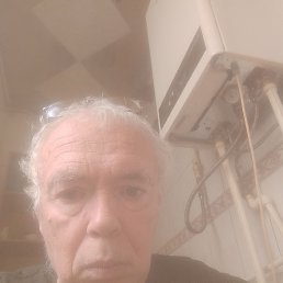 ��������, 58 ���, ���������