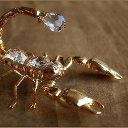 �������, �������-�����, 63 ����