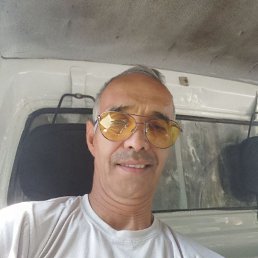 , 54, 