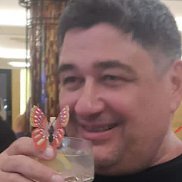 ����, 49 ���, ����������